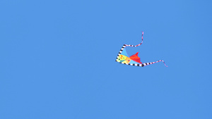 4k实拍春天蓝天下的风筝20秒视频