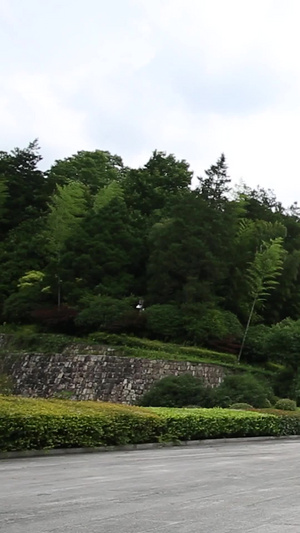 【旅游宣传片】安徽黄山合集5A景区48秒视频