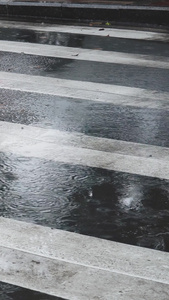谷雨雨水城市斑马线视频