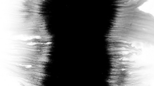 白底面表面散布的黑色涂料以白色为背景11秒视频
