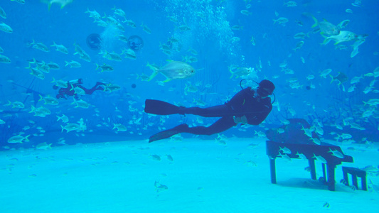 4k海洋馆潜水员表演吐气泡视频