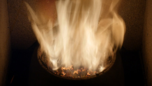 火焰中的颗粒—橡木生物质特写加热29秒视频