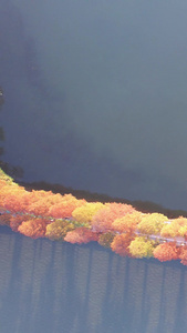 航拍城市自然风光秋天秋色公园绿道湖景素材绿道素材视频