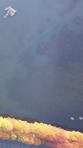 航拍城市自然风光秋天秋色公园绿道湖景素材季节素材视频