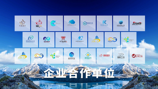 企业合作单位LOGO墙视频