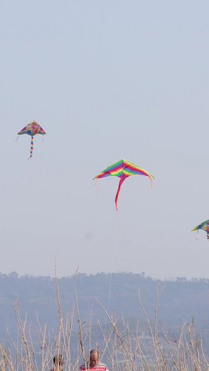 高清蓝天白云放风筝飞翔的风筝46秒视频
