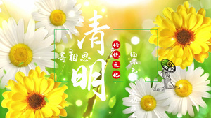 清明节祭祖公益AE片头25秒视频