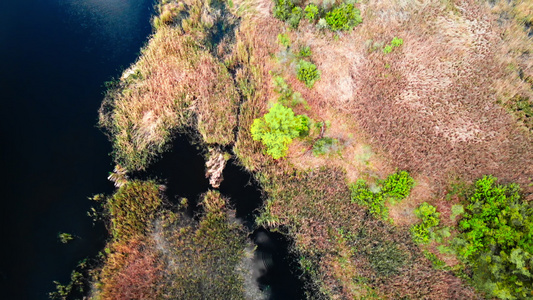 乌黑德涅伯河上的岛屿的野生生物视频