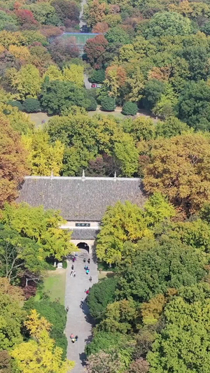 南京灵谷寺古建筑秋季风光钟山风景区43秒视频