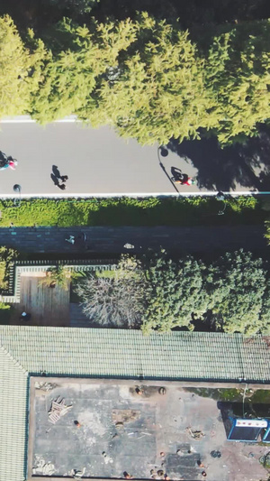 航拍城市秋天小区绿道入口素材城市素材10秒视频