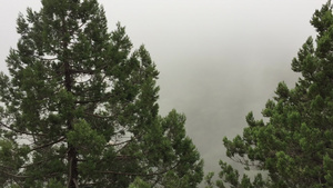 迷雾中全景观山林18秒视频