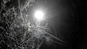 夜间寒冬降雪在街光下的城市风景12秒视频