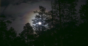 夜晚神秘的冷色调全景景观48秒视频