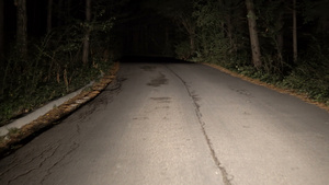 夜间在农村公路上开车穿过森林第一视角30秒视频