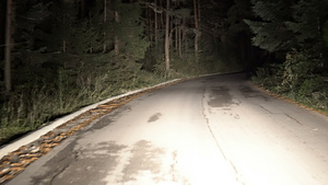 夜间在农村公路上开车穿过森林第一视角11秒视频