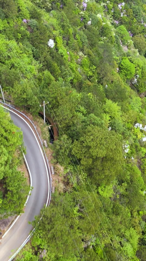 浙江南部山区森林公路山路航拍山区公路74秒视频