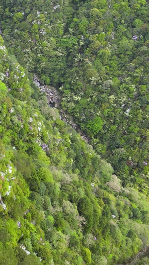 浙江南部山区森林公路山路航拍无人机74秒视频