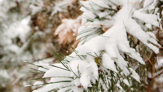 4k雪花飘落视频