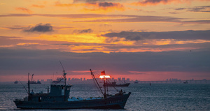 4K延时金色天空和穿梭的渔船青岛胶州湾夕阳30秒视频