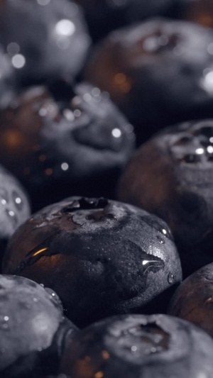 阳光照耀饱满蓝莓水果农作物18秒视频