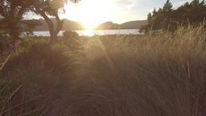 日落时在海边环礁湖上拍草木和山丘31秒视频