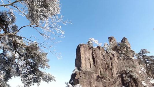 冬季雪景雾凇风光视频