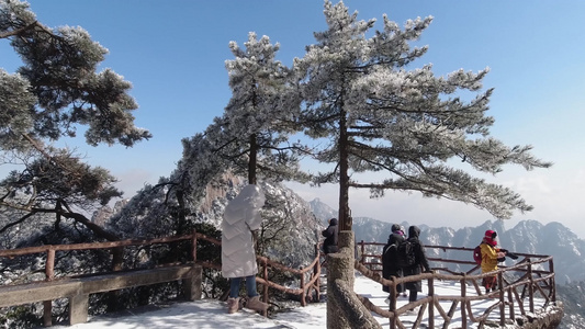 冬季迎客松雾凇雪景大量游客登山赏雪视频