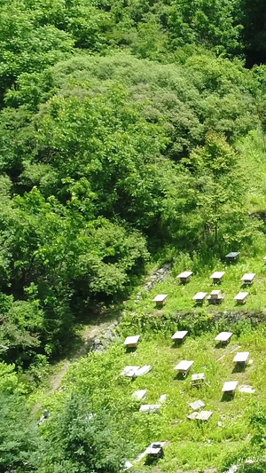 秦岭蜂场航拍秦岭旅游65秒视频