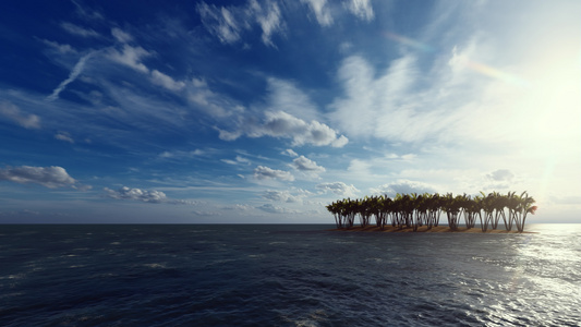 日落时在海洋中部的小岛屿上的棕榈树视频