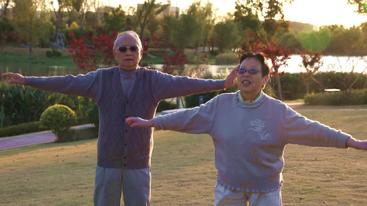 在户外公园运动锻炼的老年夫妇视频