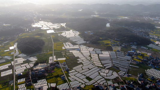 4K航拍大棚种植基地视频