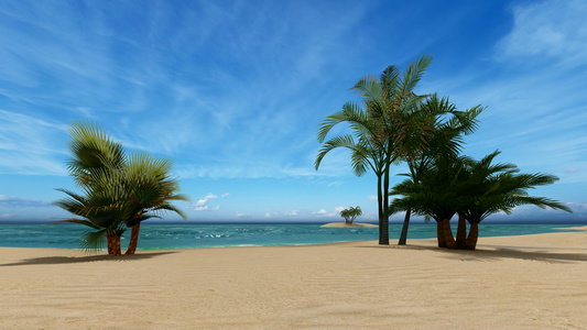 有棕榈树的空沙滩视频
