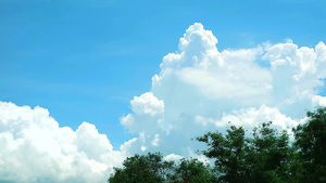 蓝色天空的白云在树顶后方移动延时57秒视频