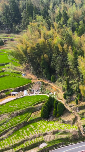 航拍丽水地标时思寺古寺合集云中大漈51秒视频