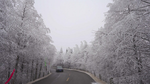 开车通过仙女山美丽雾凇雪景大道74秒视频