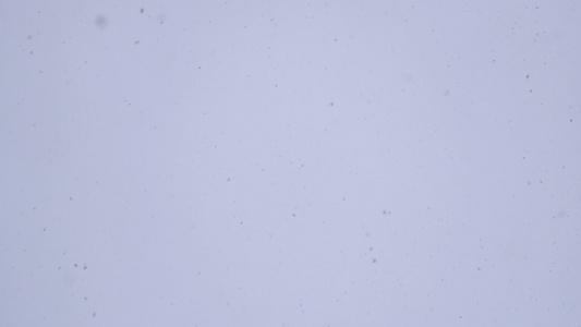 雪花从天上落下视频