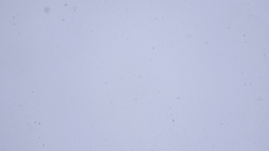 雪花从天上落下24秒视频