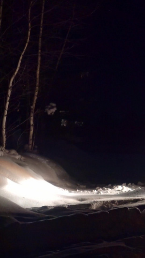 雪地山路汽车抛锚发动机14秒视频