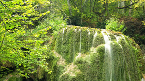 绿色树林里的小瀑布9秒视频