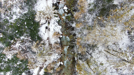 航拍雪中的森林溪水视频视频