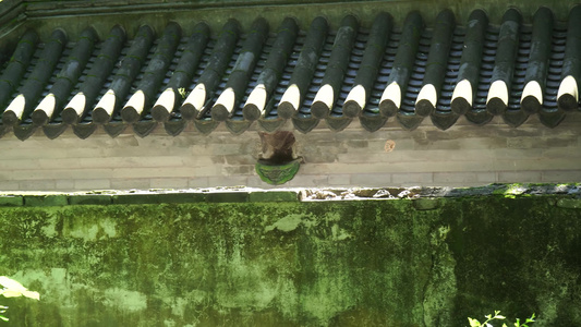 中式古建筑明清房屋琉璃瓦雕花门窗飞檐视频