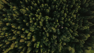 绿林和俄罗斯公路附近的村庄上空的航拍38秒视频