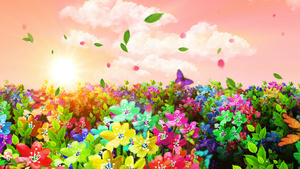 4K唯美的七彩鲜花背景素材30秒视频