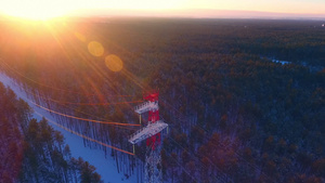 森林空中风景的电流铁柱森林中的空电线15秒视频