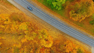 秋最佳森林道路和汽车建筑城市和汽车停放无人驾驶飞机30秒视频