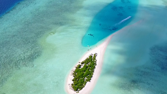 空中无人驾驶飞机对海平面蓝海和白沙背景的海滩野生生物视频