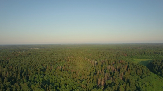 飞越乌鲁西亚广大的绿林视频