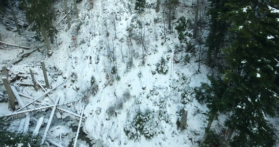 在树林的雪床上飞行视频