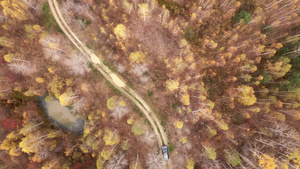 一辆灰色的客车沿着森林泥土路行驶横跨高山秋树27秒视频