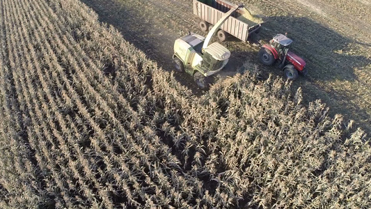 野外小麦收获的空中镜头视频